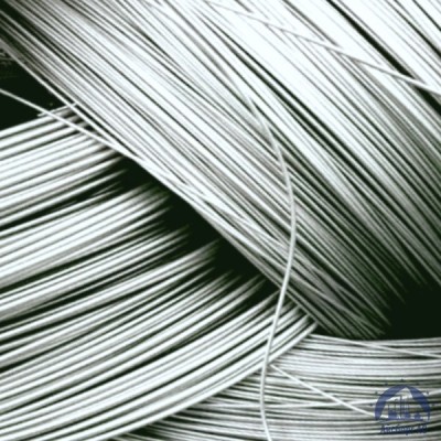 Нихромовая нить 3.2 мм х15н60 купить  в Сургуте